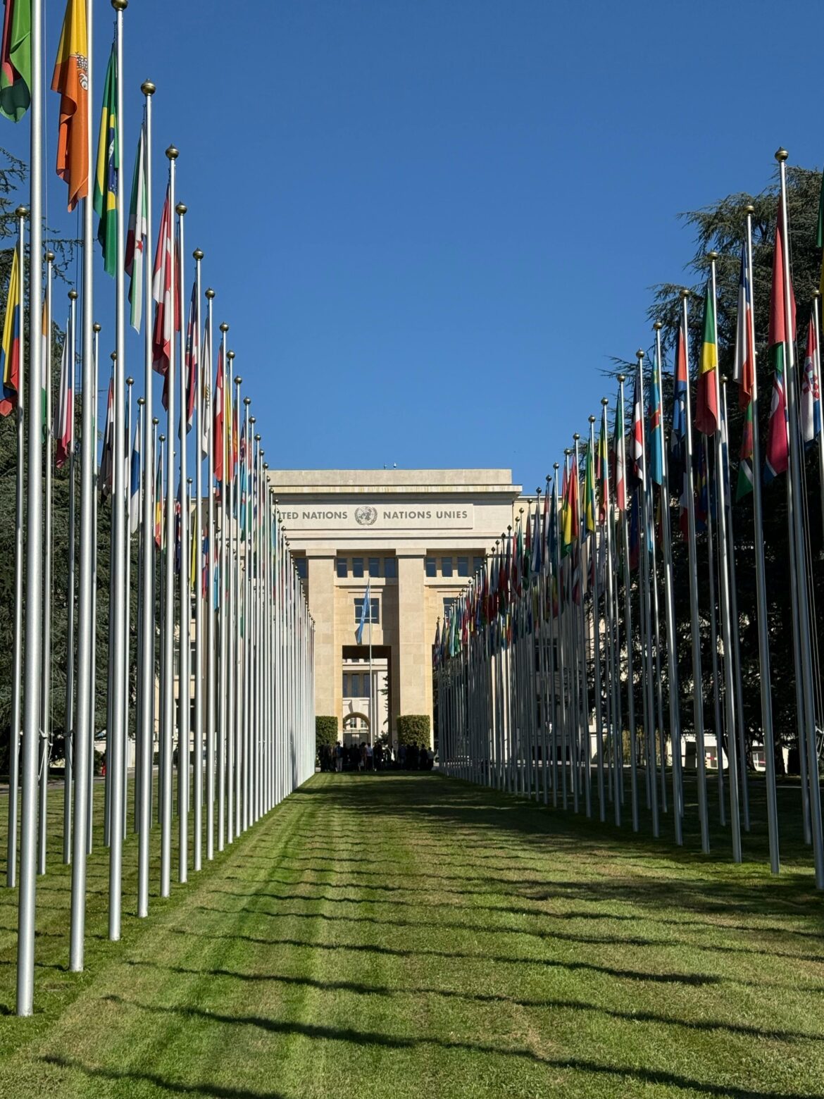 UN Women is Recruiting a Country Representative in Tanzania