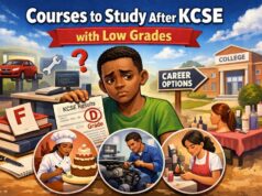 Courses to Study After KCSE with Low Grades: Your Complete Guide to Success
