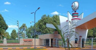 Moi University Admissions Letter 2026: Download Guide, KUCCPS Admission List, and Portal Access